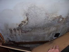 Podrum - vlaga na plafonu